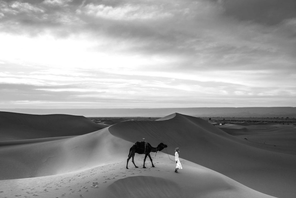 Sahara | © Federico Gutierrez