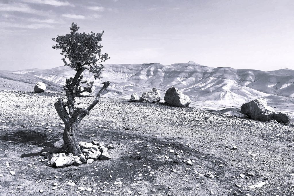 Francia, Regno unito e Canada riconoscono lo Stato arabo di Palestina